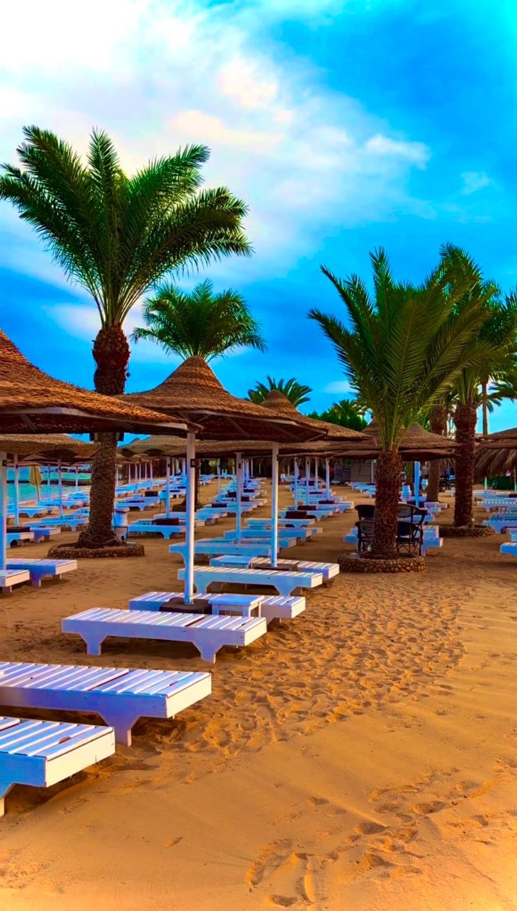 Loungers, thatched umbrellas and palm trees on the private beach