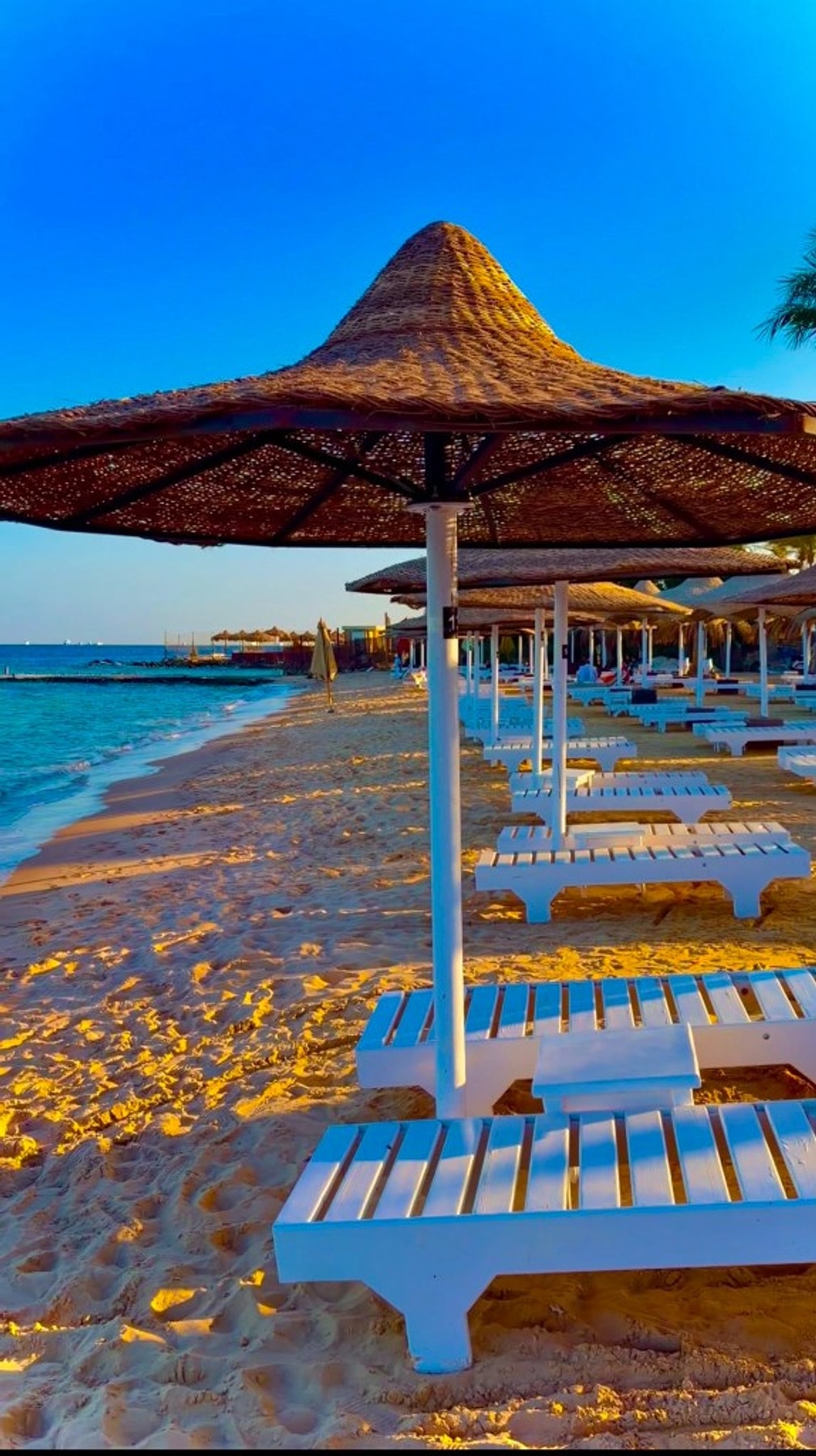 White sunbeds facing the sea under thatched umbrellas